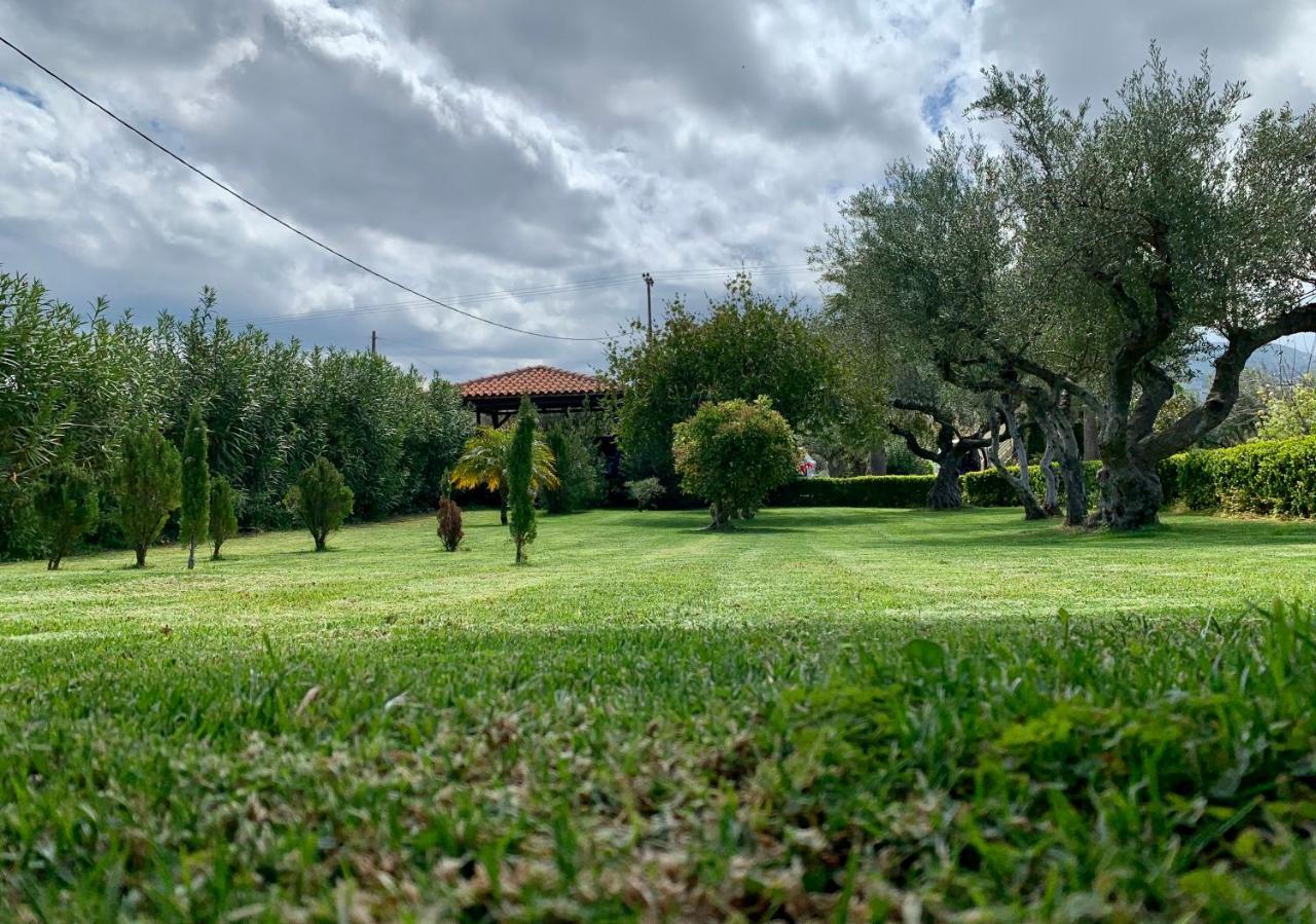 Aggelos And Thisbe Chania Suburbs Sea View Guest House Extérieur photo